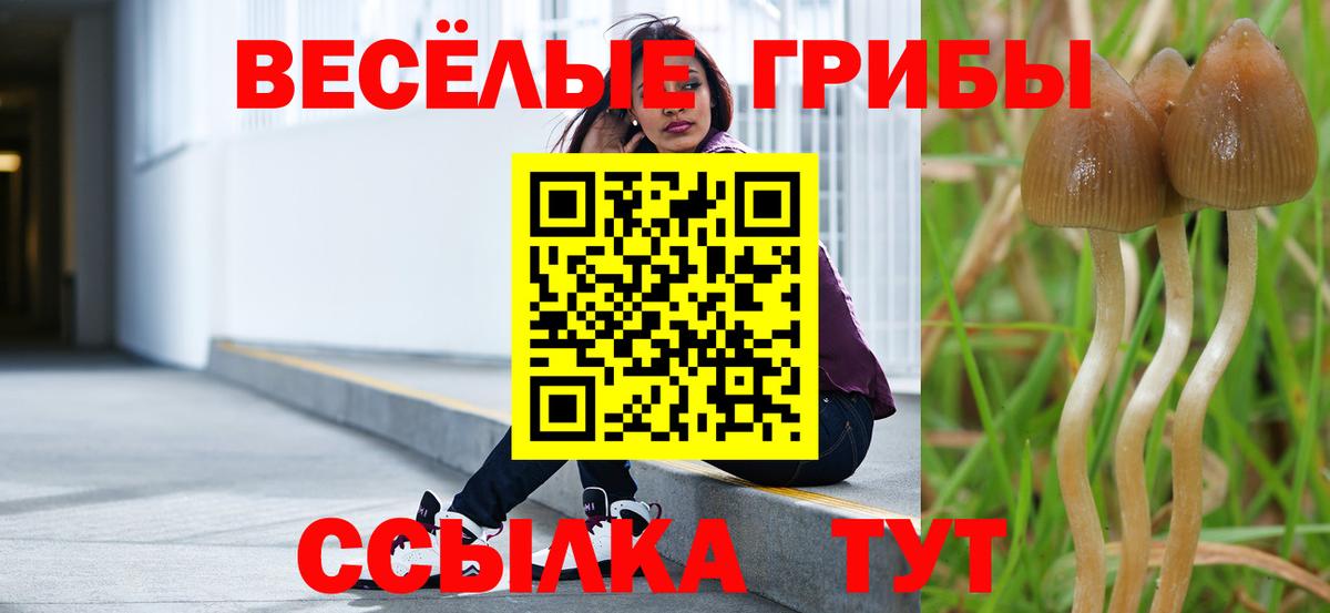 Псилоцибиновые грибы мицелий Белгород